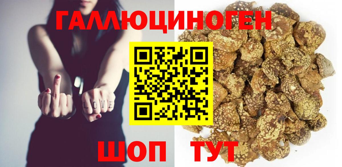 Псилоцибиновые грибы Psilocybe  Вход с VPN  Алапаевск 